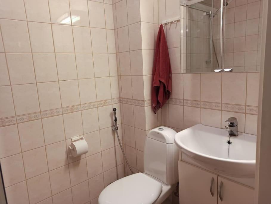 Cosy Loft Apartment Helsinki Ngoại thất bức ảnh
